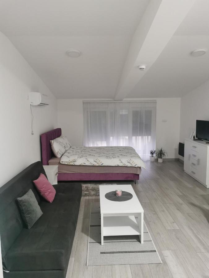 Studio Apartmani Banja Koviljača Exterior foto